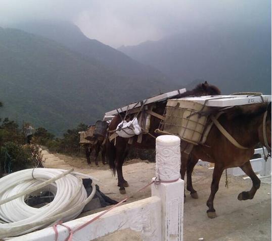 越秀区山区马帮运输