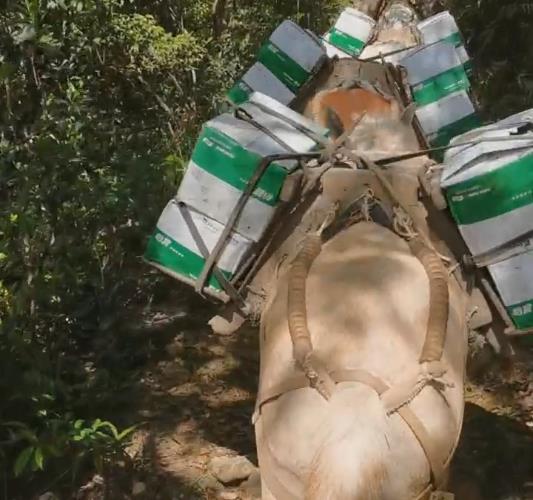 越秀区骡马山路运输