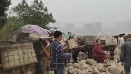 越秀区骡马山区运输