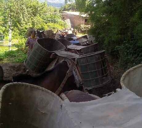 越秀区骡马运输队