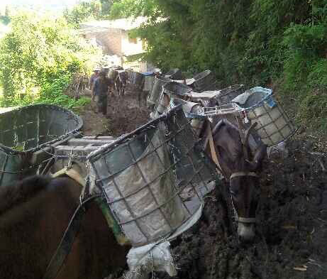 越秀区马帮搬运