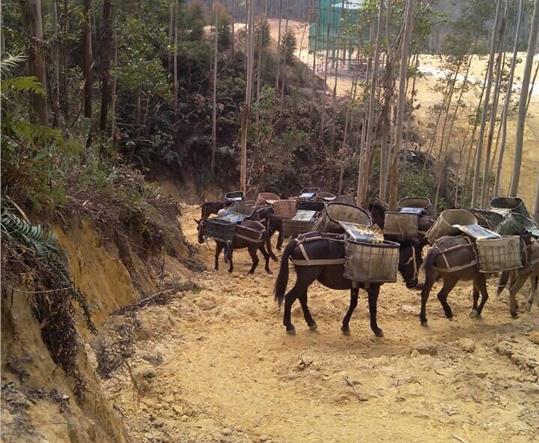 越秀区马帮山路运输