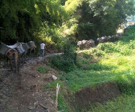 越秀区马帮运输队