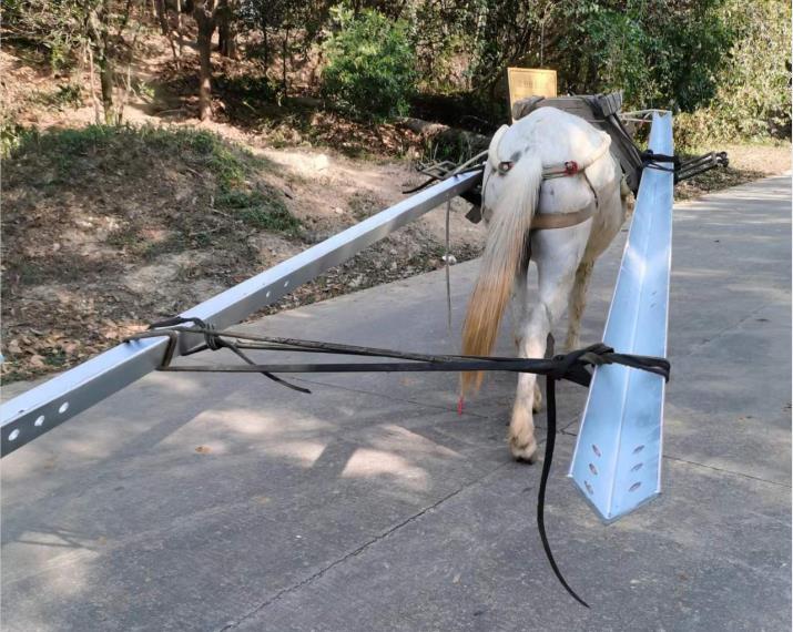 越秀区马队搬运