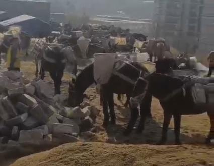 越秀区马队山路运输