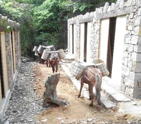 越秀区马队运输队